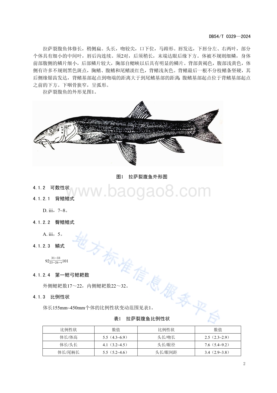 拉萨裂腹鱼DB54／T 0329-2024.pdf_第5页
