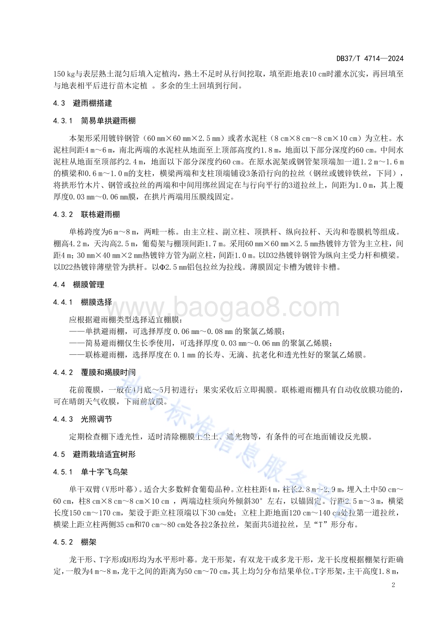 鲜食葡萄避雨栽培技术规程DB37／T 4714—2024.pdf_第5页
