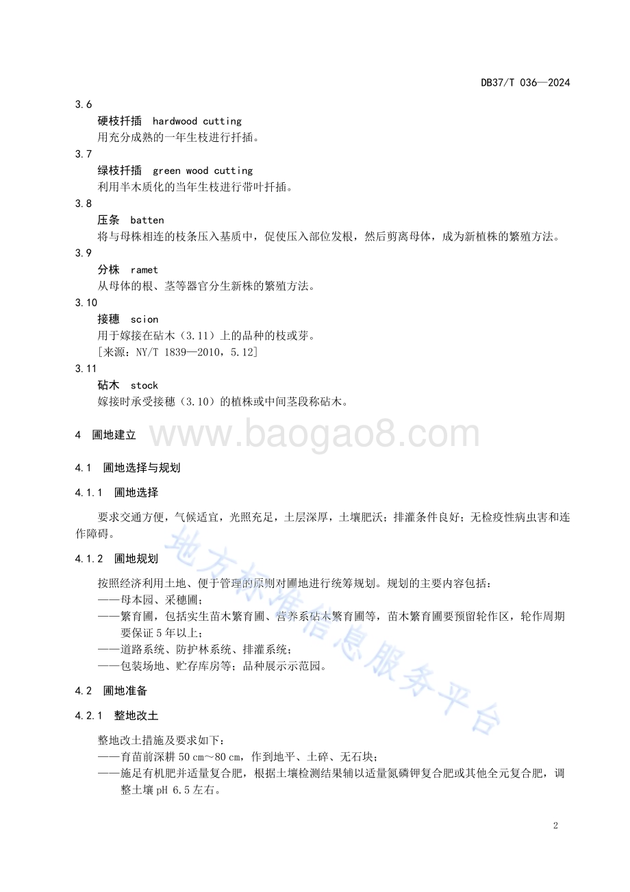 主要水果苗木培育技术规程DB37／T 036—2024.pdf_第5页