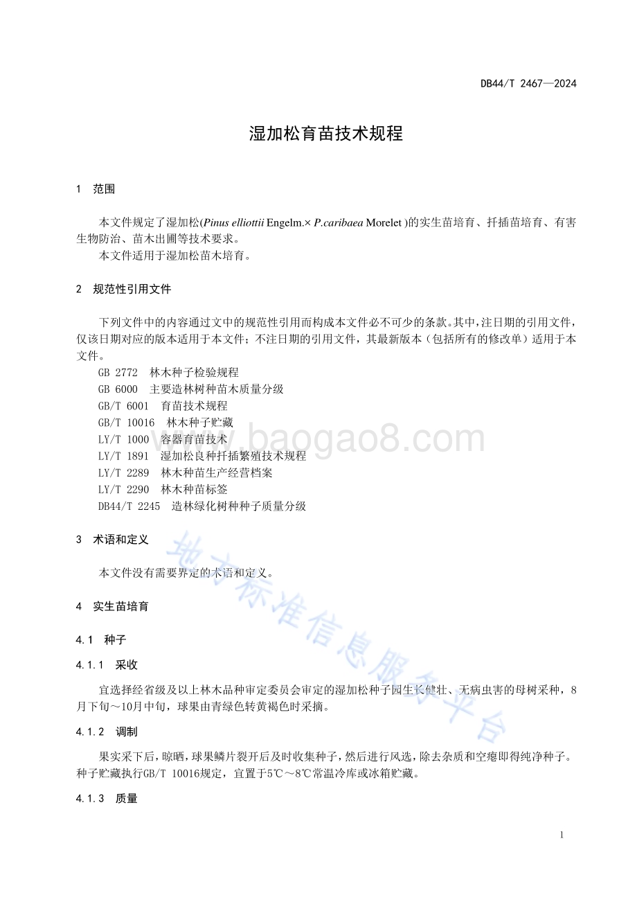湿加松育苗技术规程DB44／T 2467—2024.pdf_第5页