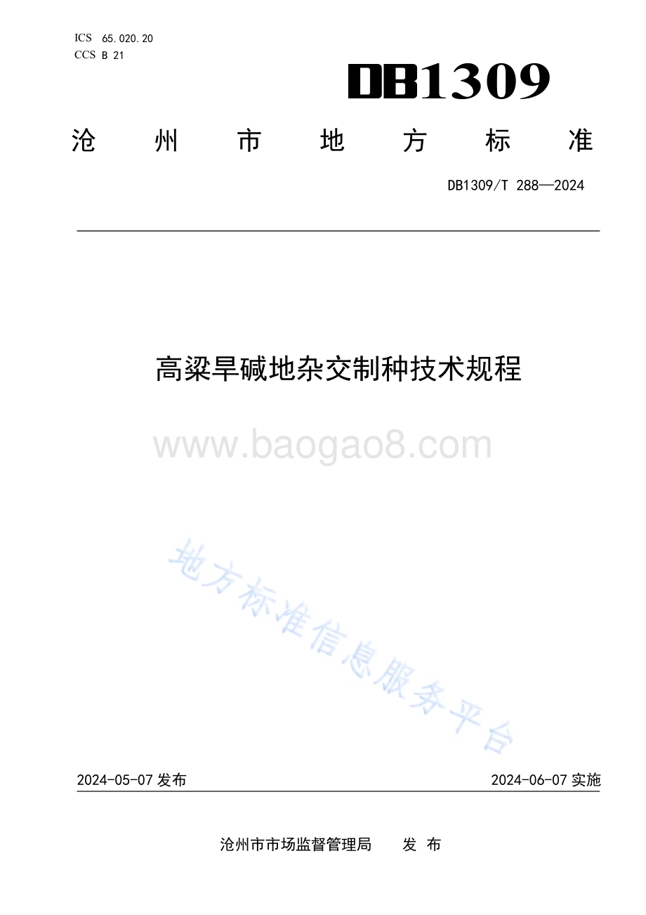 高粱旱碱地杂交制种技术规程DB1309／T 288-2024.pdf_第1页