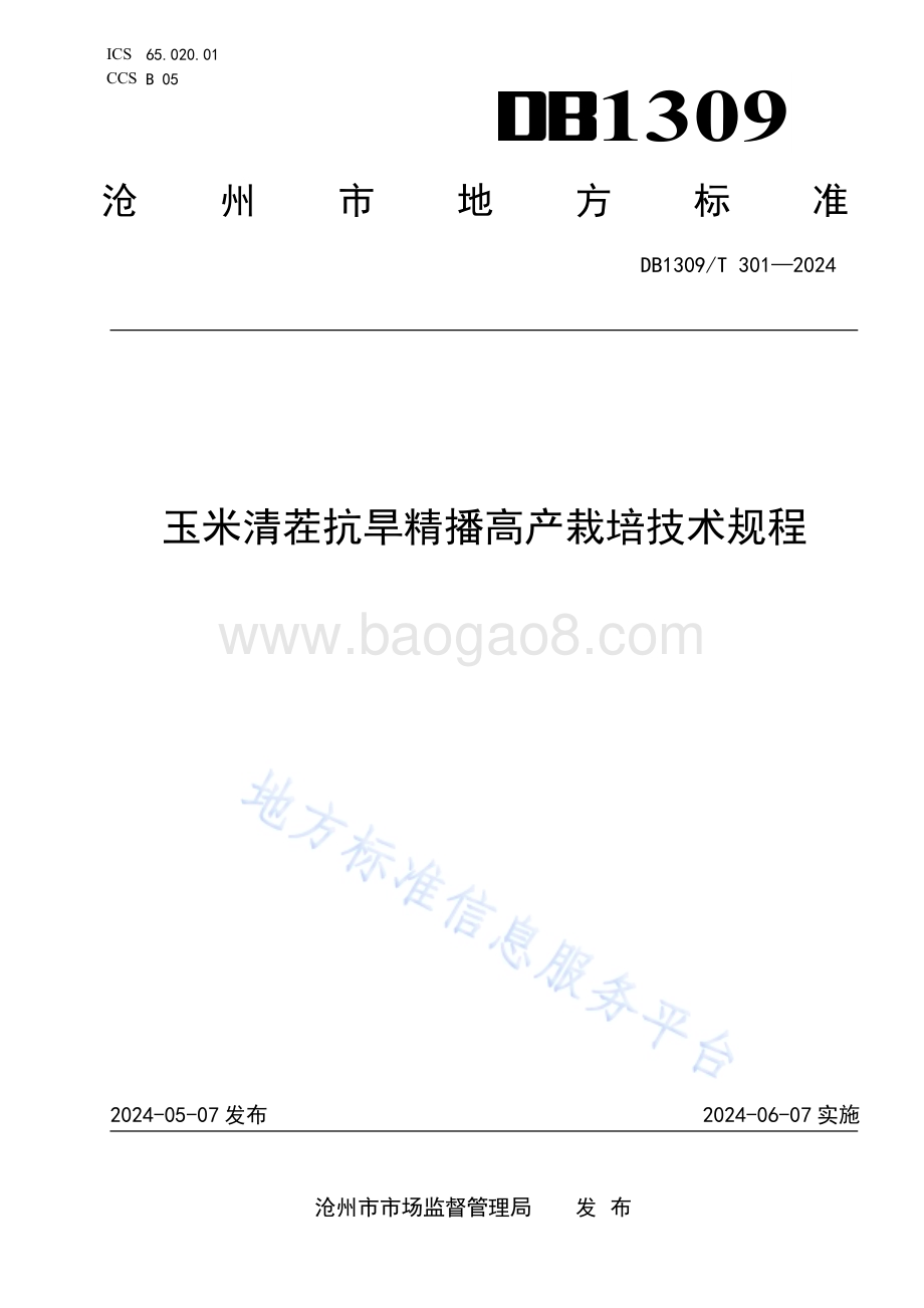玉米清茬抗旱精播高产栽培技术规程DB1309／T 301-2024.pdf_第1页