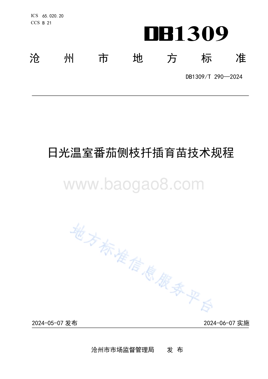 日光温室番茄侧枝扦插育苗技术规程DB1309／T 290-2024.pdf_第1页