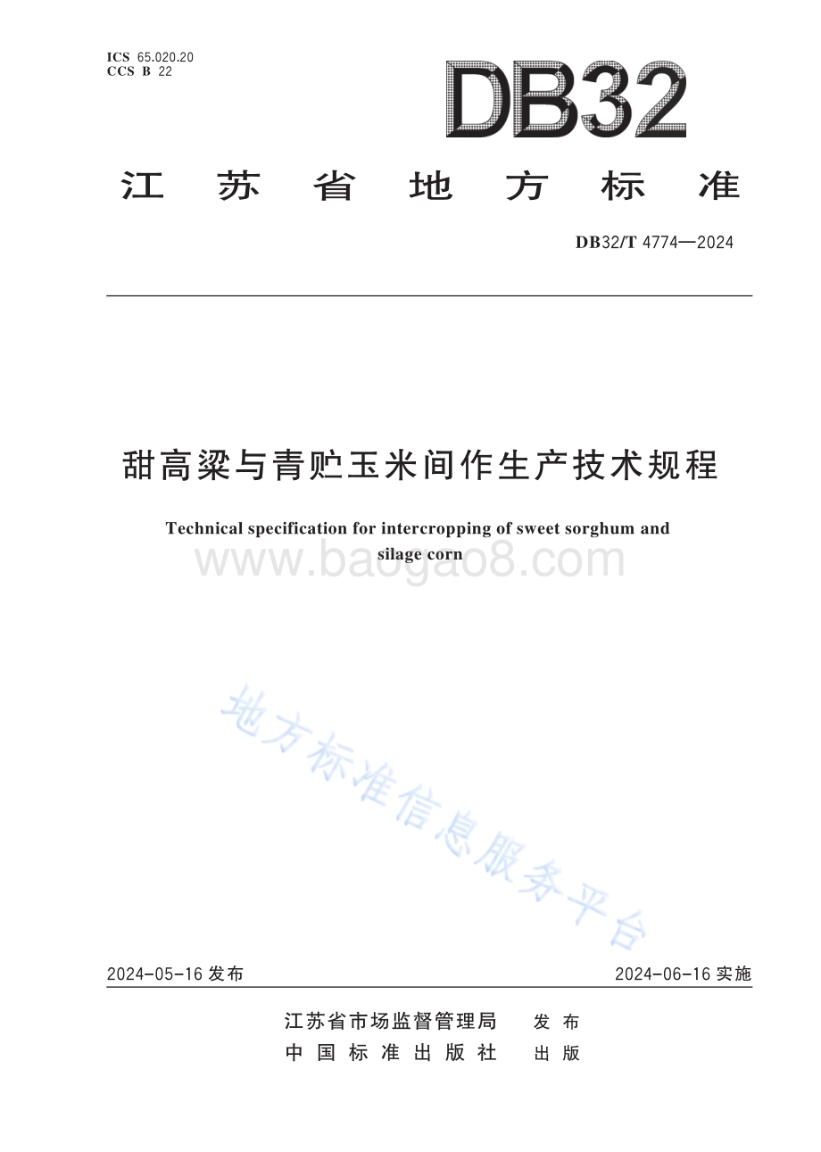甜高粱与青贮玉米间作生产技术规程DB32／T 4774-2024.pdf_第1页