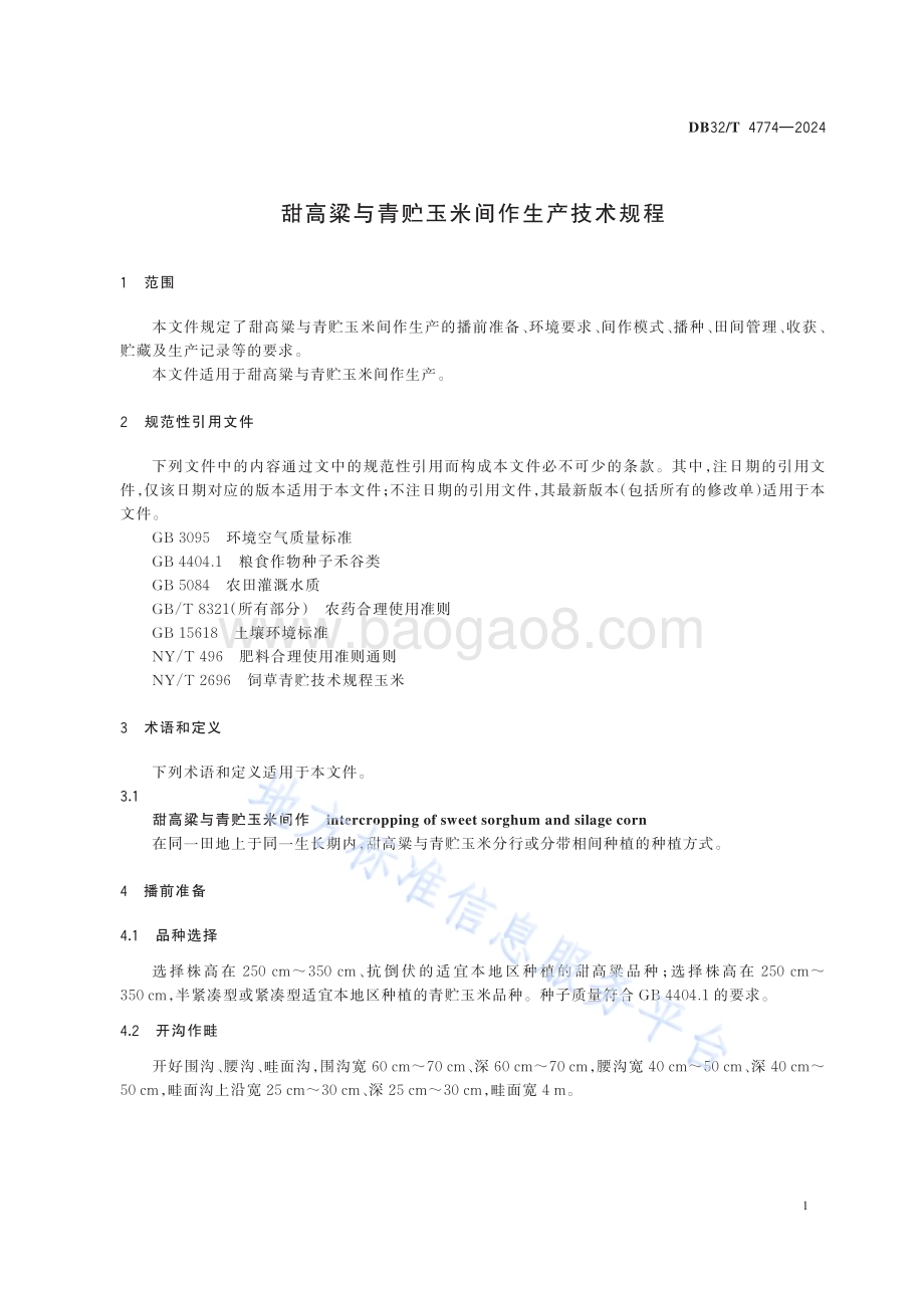 甜高粱与青贮玉米间作生产技术规程DB32／T 4774-2024.pdf_第3页