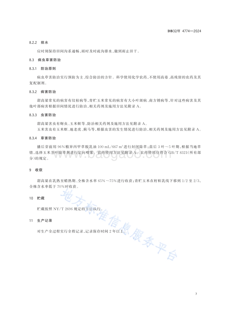 甜高粱与青贮玉米间作生产技术规程DB32／T 4774-2024.pdf_第5页