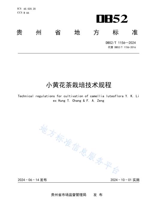 小黄花茶栽培技术规程DB52／T 1156-2024.pdf