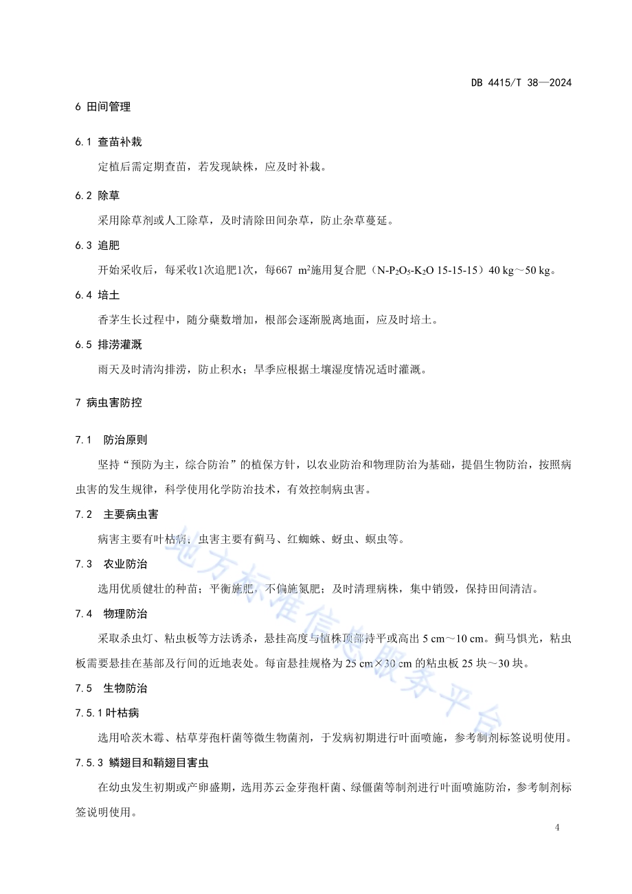 香茅种植技术规程DB4415／T 38-2024.pdf_第5页