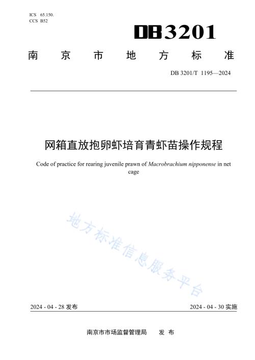 网箱直放抱卵虾培育青虾苗操作规程DB3201／T 1195-2024.pdf