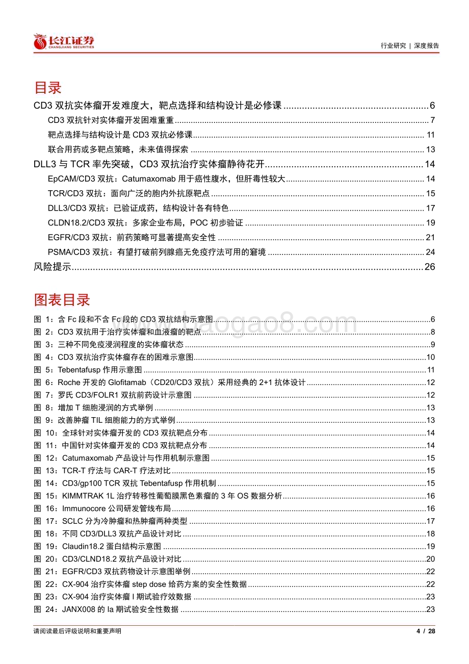 20240704_长江证券_医疗保健行业CD3双抗_实体瘤篇：挑战与机遇并存创新设计或带来突破_28页.pdf_第4页