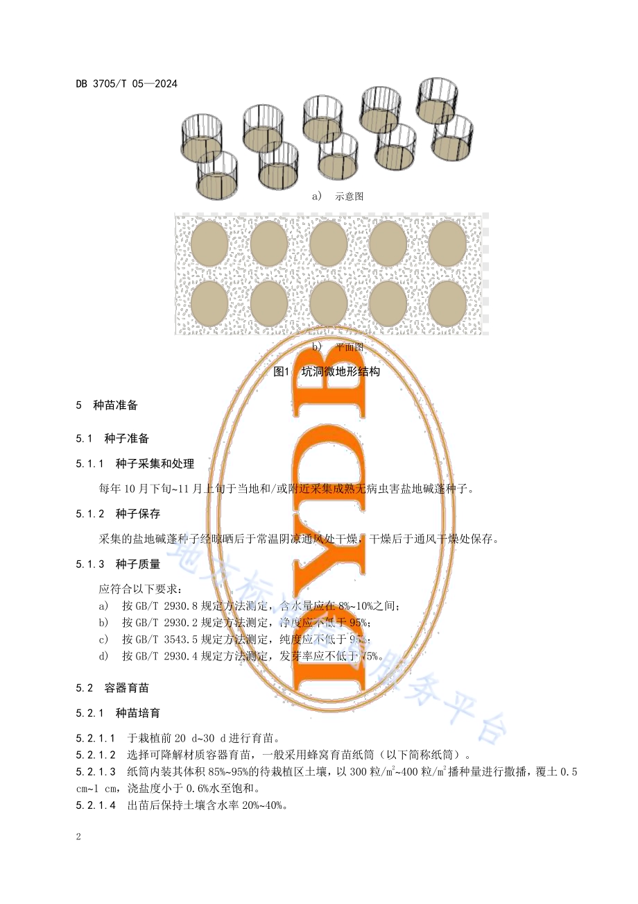 沿海滩涂盐地碱蓬种植修复技术规程DB 3705／T 05-2024.pdf_第5页
