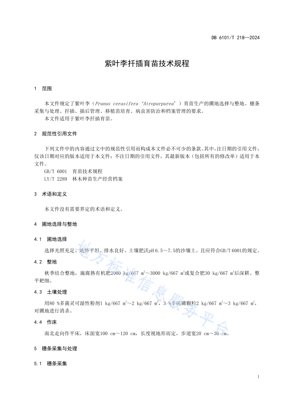 紫叶李扦插育苗技术规程DB6101／T 218-2024.pdf_第5页