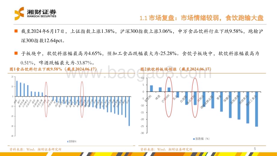 20240628_湘财证券_食品饮料行业：从趋势看未来把握韧性与弹性机遇_40页.pdf_第5页