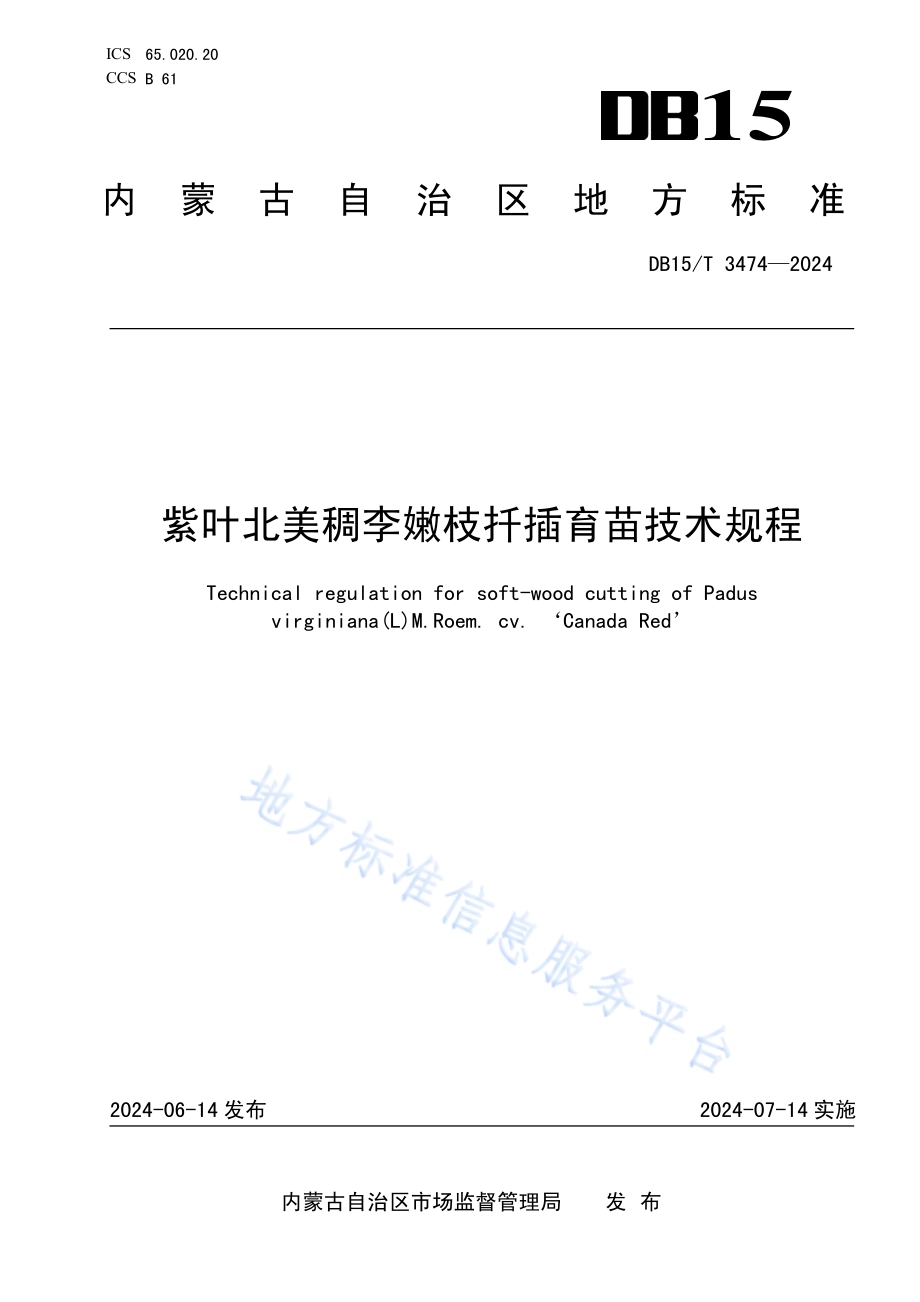 紫叶北美稠李嫩枝扦插育苗技术规程DB15／T 3474—2024.pdf_第1页