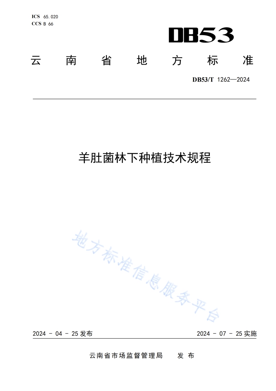 羊肚菌林下种植技术规程DB53／T 1262-2024.pdf_第1页