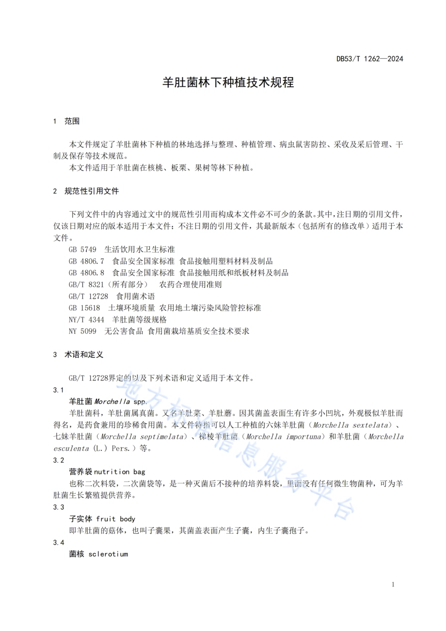 羊肚菌林下种植技术规程DB53／T 1262-2024.pdf_第5页