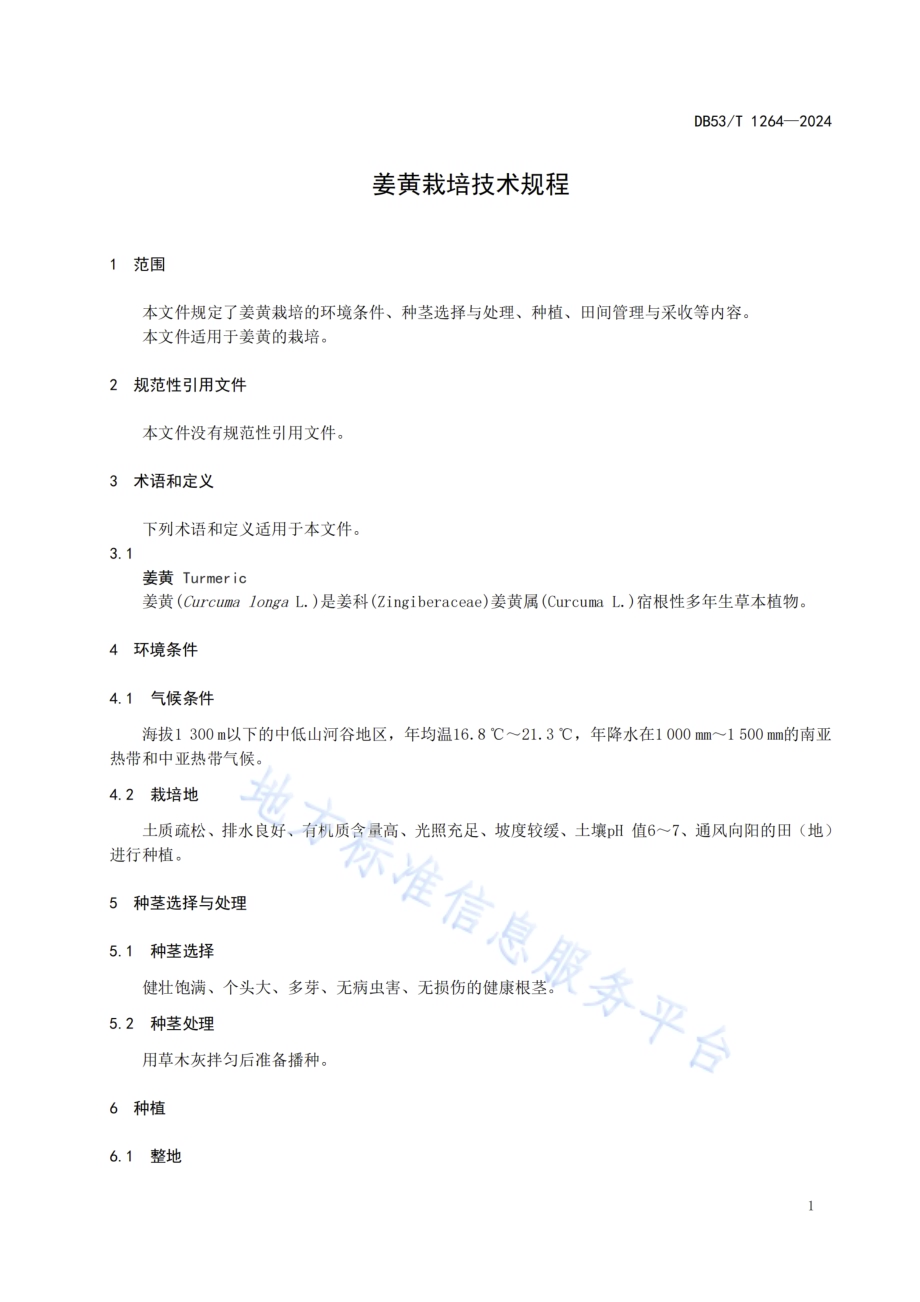 姜黄栽培技术规程DB53／T 1264-2024.pdf_第5页