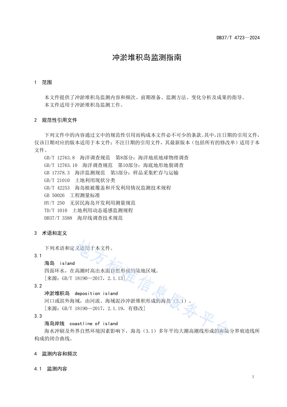 冲淤堆积岛监测指南DB37／T 4723—2024.pdf_第3页
