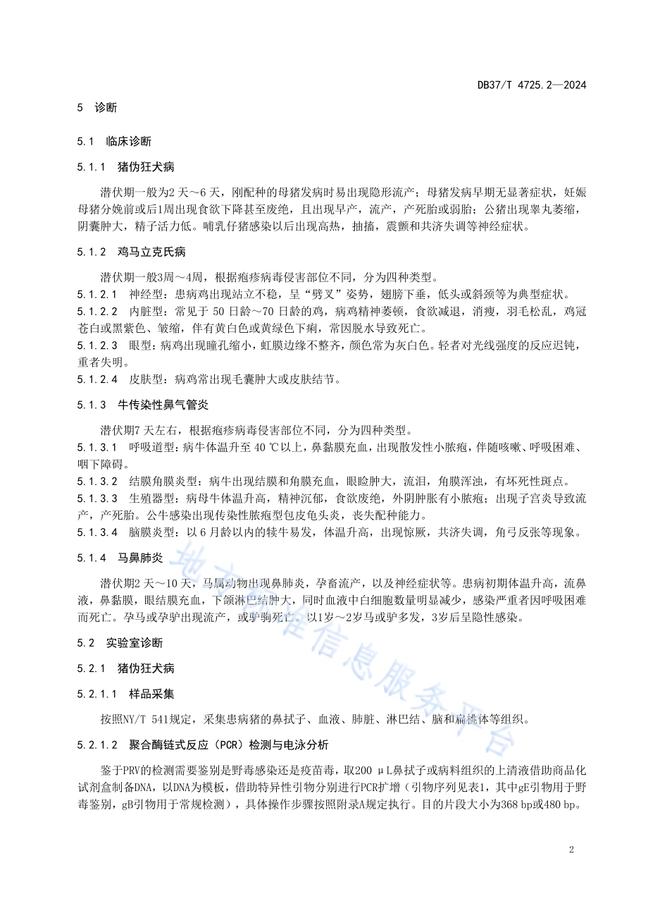 动物疫病诊断技术 第2部分：α疱疹病毒DB37／T 4725.2—2024.pdf_第5页