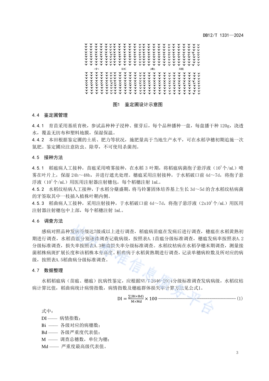 天津小站稻 品种区域试验抗病性鉴定规程DB12／T 1331-2024.pdf_第4页