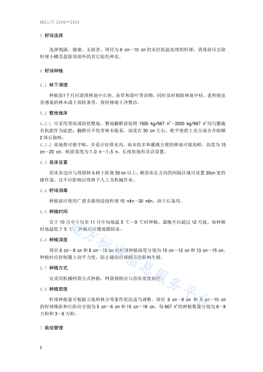 郁金香种球林下繁育技术规程DB11／T 2286-2024.pdf_第5页