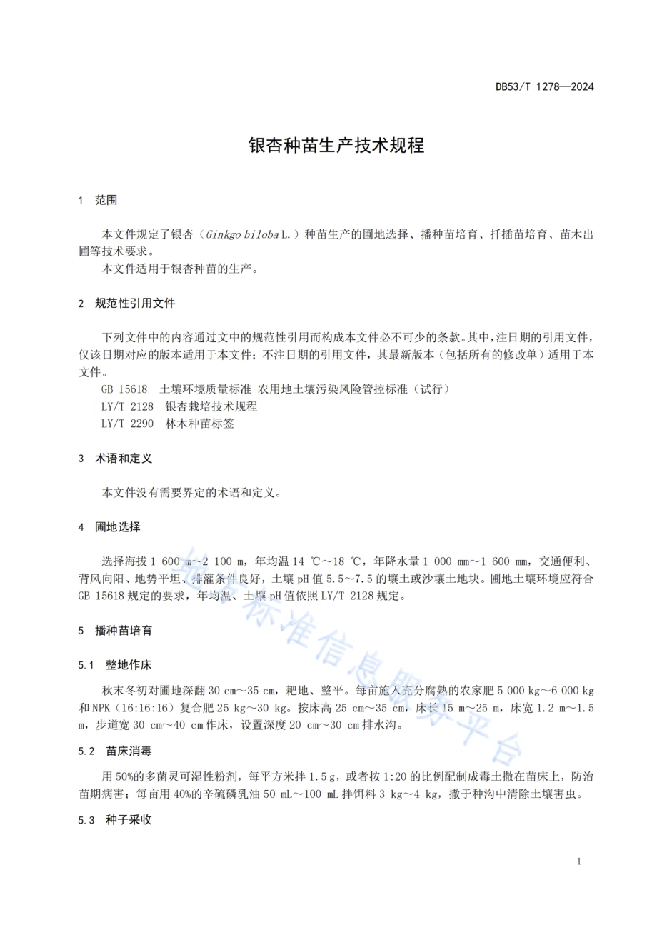 银杏种苗生产技术规程DB53／T 1278-2024.pdf_第5页