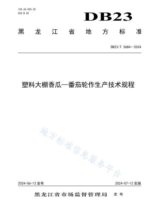 塑料大棚香瓜-番茄轮作生产技术规程DB23／T 3684—2024.pdf