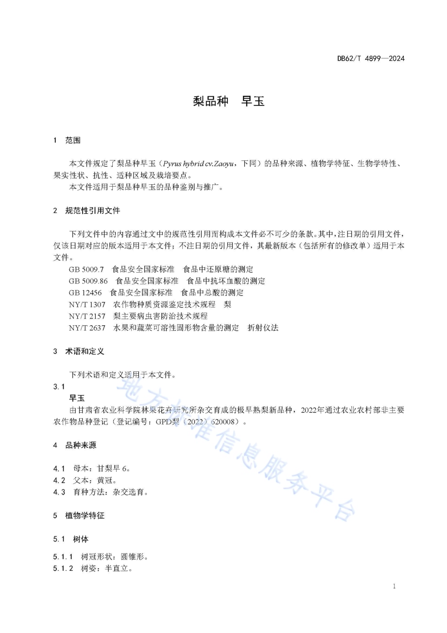 梨品种早玉DB62／T 4899-2024.pdf_第5页