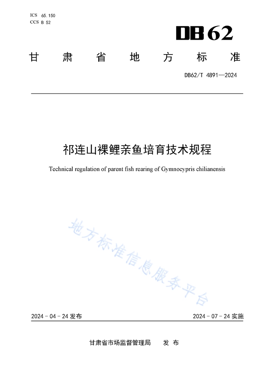祁连山裸鲤亲鱼培育技术规程DB62／T 4891-2024.pdf_第1页