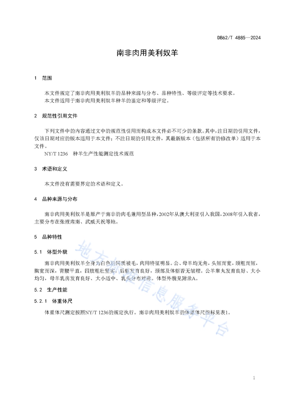 南非肉用美利奴羊DB62／T 4885-2024.pdf_第5页