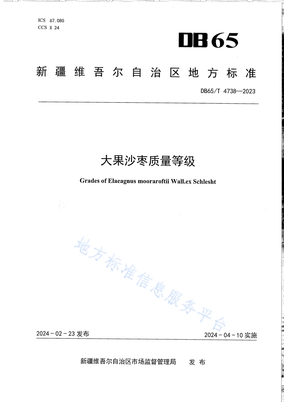 大果沙枣质量等级DB65／T 4738-2023.pdf_第1页