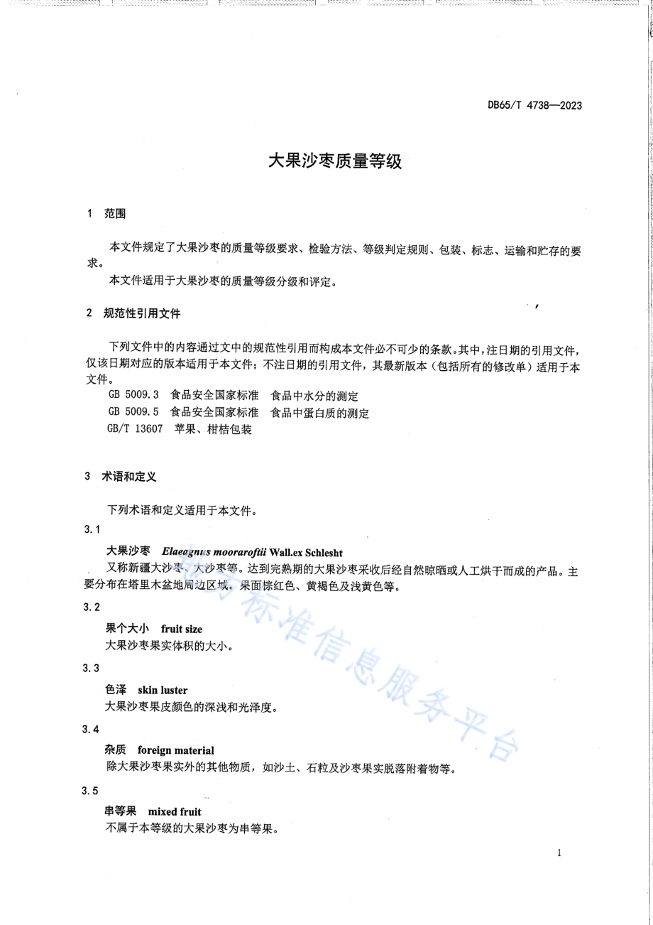 大果沙枣质量等级DB65／T 4738-2023.pdf_第5页