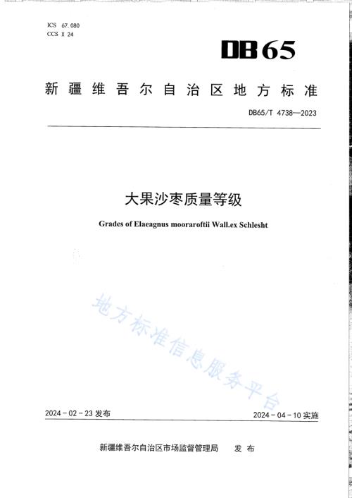 大果沙枣质量等级DB65／T 4738-2023.pdf