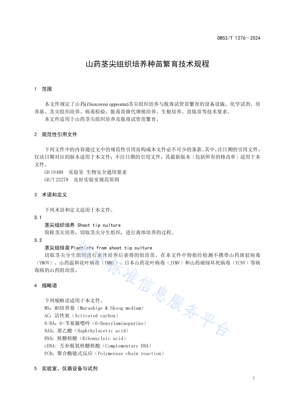 山药茎尖组织培养种苗繁育技术规程DB53／T 1276-2024.pdf_第5页