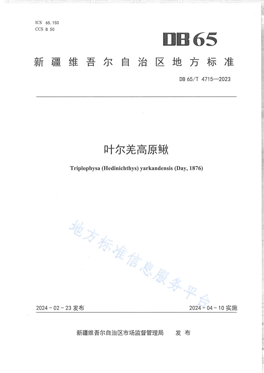 叶尔羌高原鳅DB65／T 4715-2023.pdf_第1页