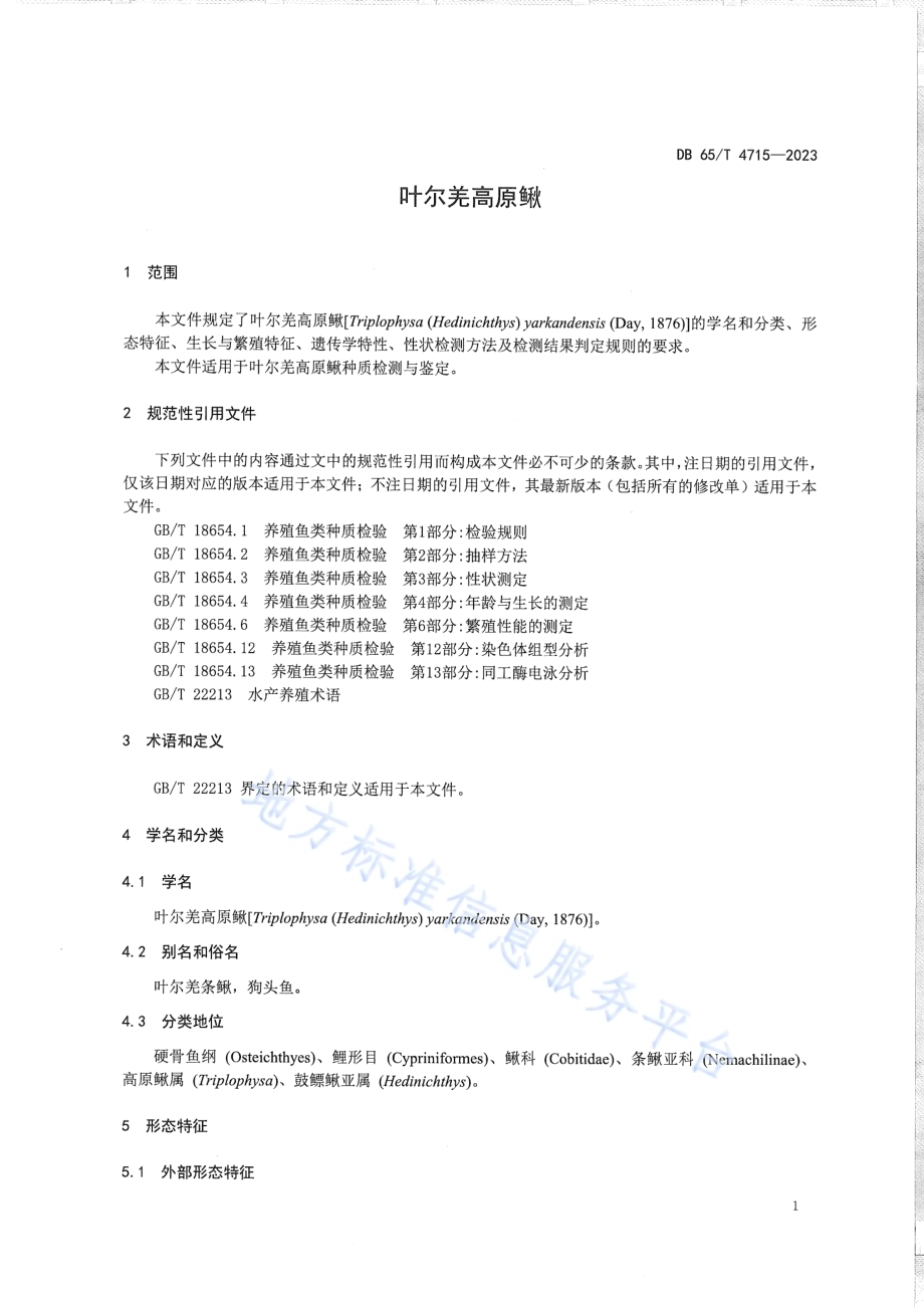 叶尔羌高原鳅DB65／T 4715-2023.pdf_第5页