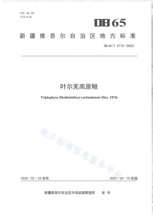 叶尔羌高原鳅DB65／T 4715-2023.pdf