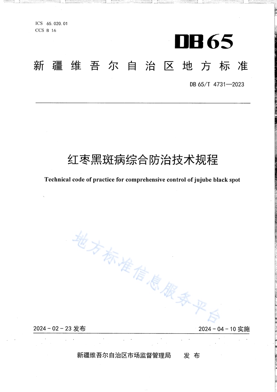 红枣黑斑病综合防治技术规程DB65／T 4731-2023.pdf_第1页