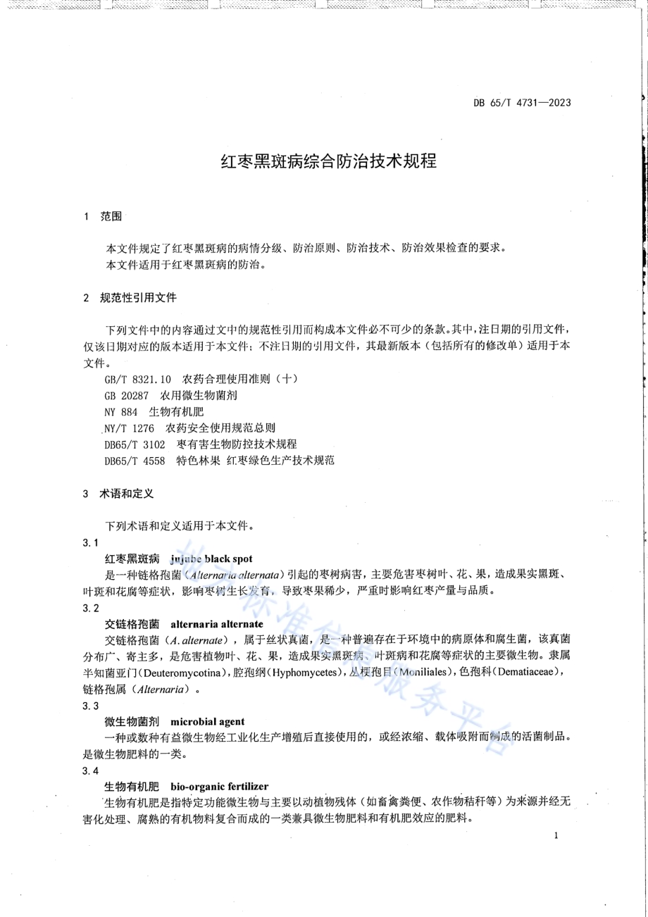 红枣黑斑病综合防治技术规程DB65／T 4731-2023.pdf_第5页
