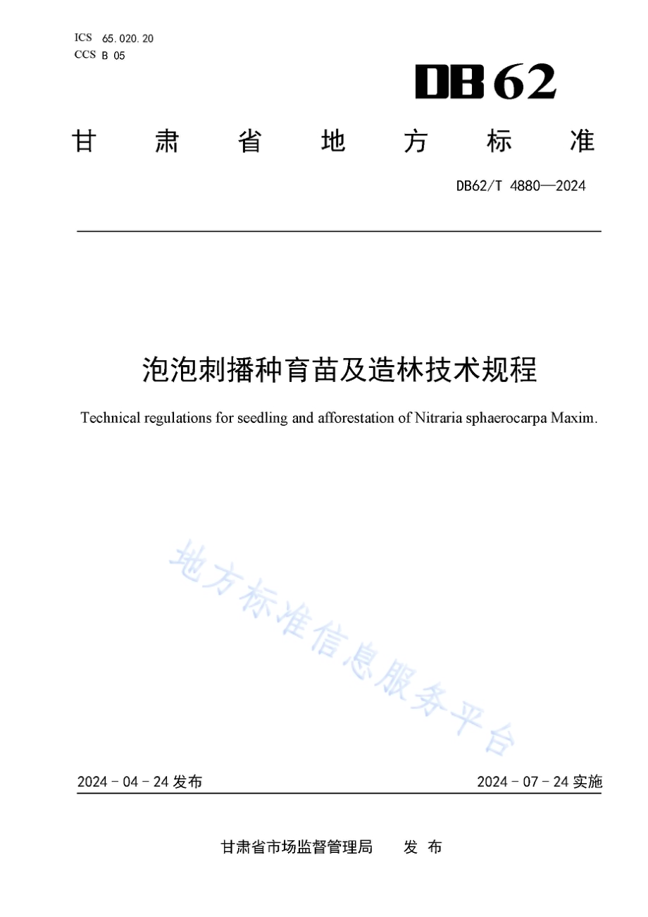 泡泡刺播种育苗及造林技术规程DB62／T 4880-2024.pdf_第1页