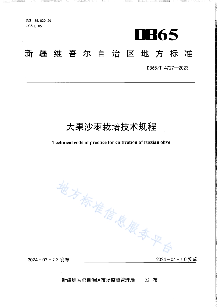 大果沙枣栽培技术规程DB65／T 4727-2023.pdf_第1页