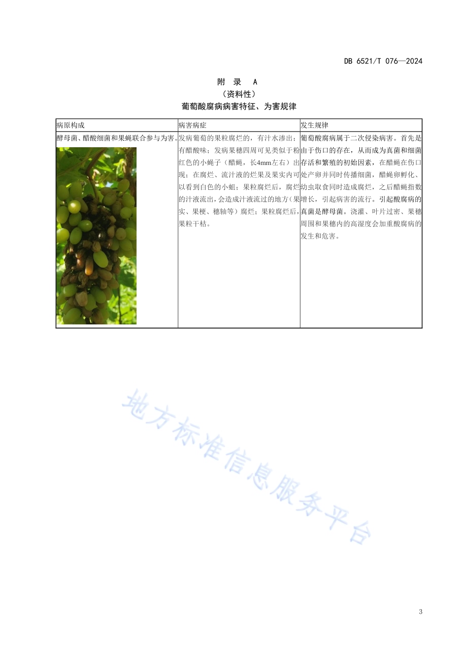 葡萄酸腐病防治技术规程DB6521／T 076-2024.pdf_第5页