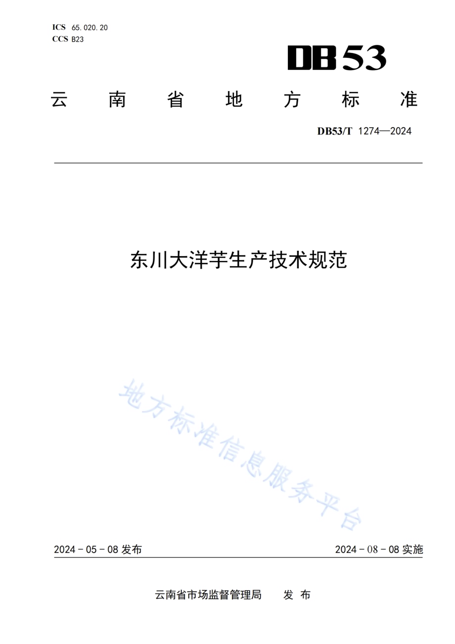 东川大洋芋生产技术规范DB53／T 1274-2024.pdf