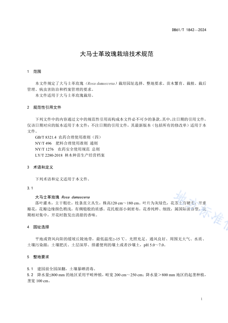 大马士革玫瑰栽培技术规范DB61／T 1842-2024.pdf_第4页