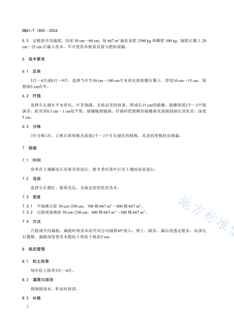 大马士革玫瑰栽培技术规范DB61／T 1842-2024.pdf_第5页