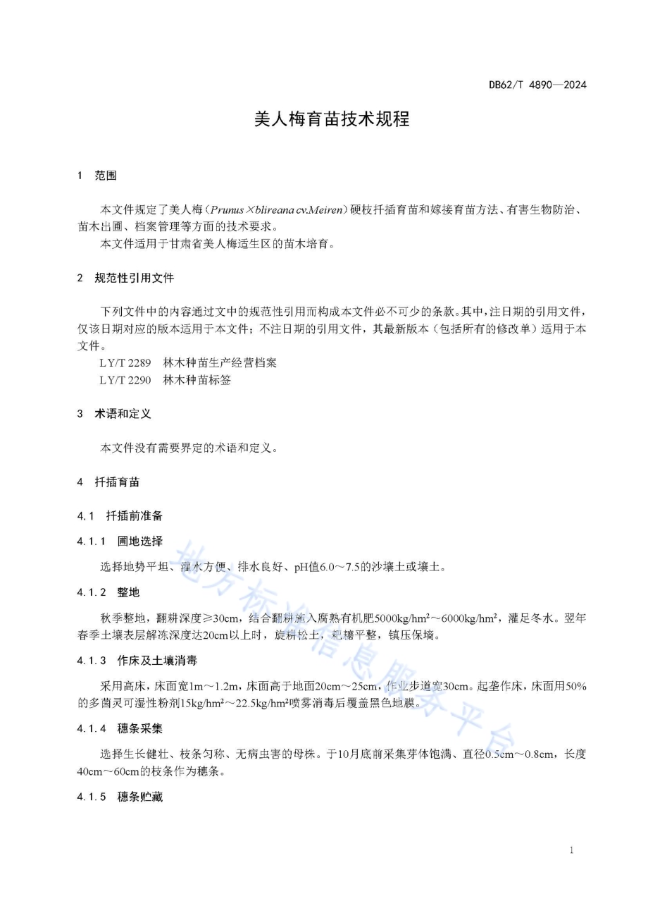 美人梅育苗技术规程DB62／T 4890-2024.pdf_第5页