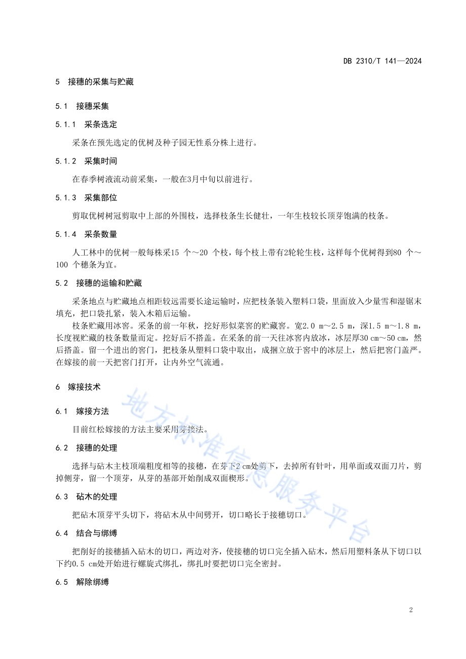 红松苗芽接培育技术规程DB2310／T 141-2024.pdf_第4页