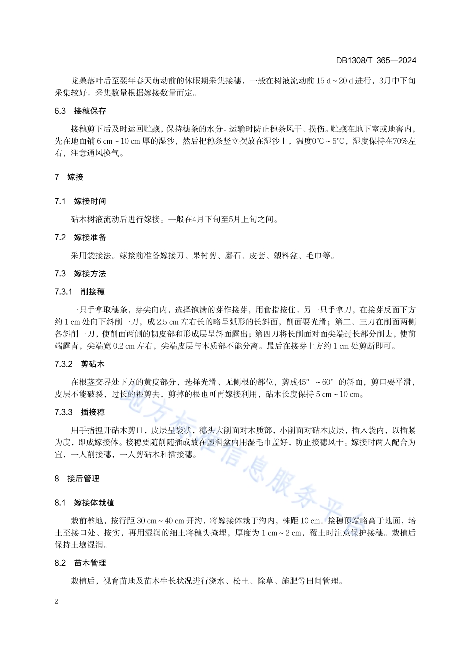 龙桑育苗技术规程DB1308／T 365-2024.pdf_第4页