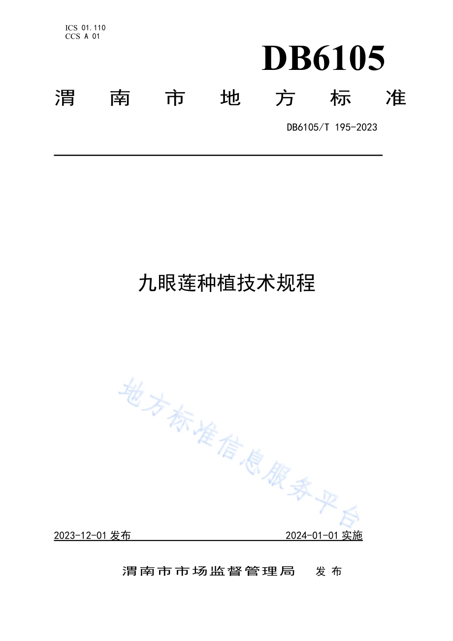 九眼莲种植技术规程DB6105／T 195-2023.pdf_第1页