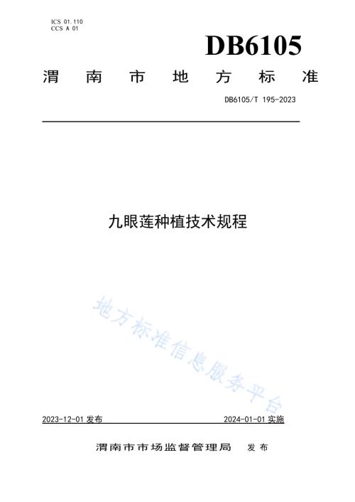 九眼莲种植技术规程DB6105／T 195-2023.pdf